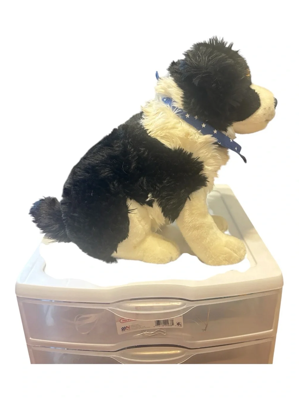 Circo Australian Shepard/Border Collie Plush Dog with Blue Star Bandana
